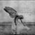 Alyshia Kuhl's profile image