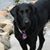 Nellie Belle's profile image