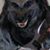 Jimmy Michael Lightfoot's profile image