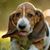 Jane Smith's profile image