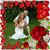 Austin Steward's profile image