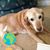 Elayne Durham's profile image