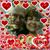 Norma Eckhoff's profile image