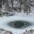 Melissa Moore Kyser's profile image