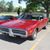 Alice Steinbach Tanner's profile image