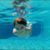 Scott Wehr's profile image