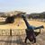 Melody Lindquist's profile image