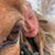 Kim Warner's profile image