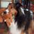 Walt Buhrmester's profile image