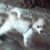 Brenda Henley's profile image
