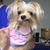 Kathy Johnson's profile image