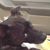 Linda Barthlow's profile image