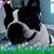 Bobbee Bell's profile image