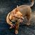 Roger Turney's profile image