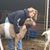 Amanda Harvey's profile image