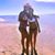 Stephanie Brown-Embry's profile image