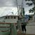 Patti Silver's profile image