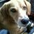 Barney Latham Erickson's profile image