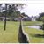 Sue Sovine's profile image