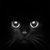 Tally Bauer's profile image