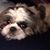 Laura Maisel Bennett's profile image