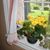 Judy Buehler's profile image