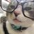 Julie Ploof Uthoff's profile image
