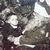 Jill Sweeney Parrish's profile image