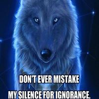 Damon Wolfe's profile image
