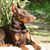 Margi Frankel Levin's profile image