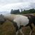 Jose Lopez's profile image