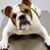 Regina Johnston's profile image