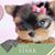 Mary Arden's profile image