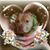Teresa Richardson's profile image