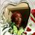 Kia Adams's profile image