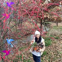 Karen Zhang's profile image