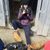 Lovisa Johanson-Yon's profile image