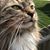 Abbe Godsey's profile image