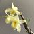 Peter J Quandt's profile image