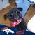 Cindy Deaver Brooks's profile image