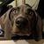 Tim Warstler's profile image