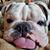 Jan Garvin Opliger's profile image