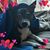 Enid Yonker's profile image