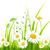 Lisa Wilson Hopkins's profile image