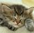 Beverly Zengerski's profile image