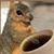 Nick Rose's profile image