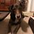 Duke Bruce's profile image