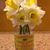 Michelle Lawrence Steed's profile image