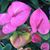 Julie Robbins's profile image