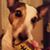 Sunny Dale Taylor's profile image
